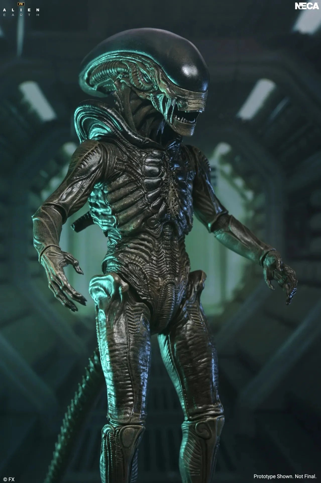 ALIEN EARTH - Xenomorph  - Figure Ultimate 17cm