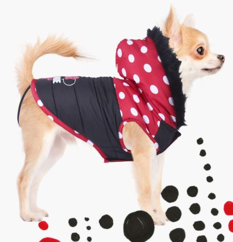 MINNIE - Dog Coat - XS