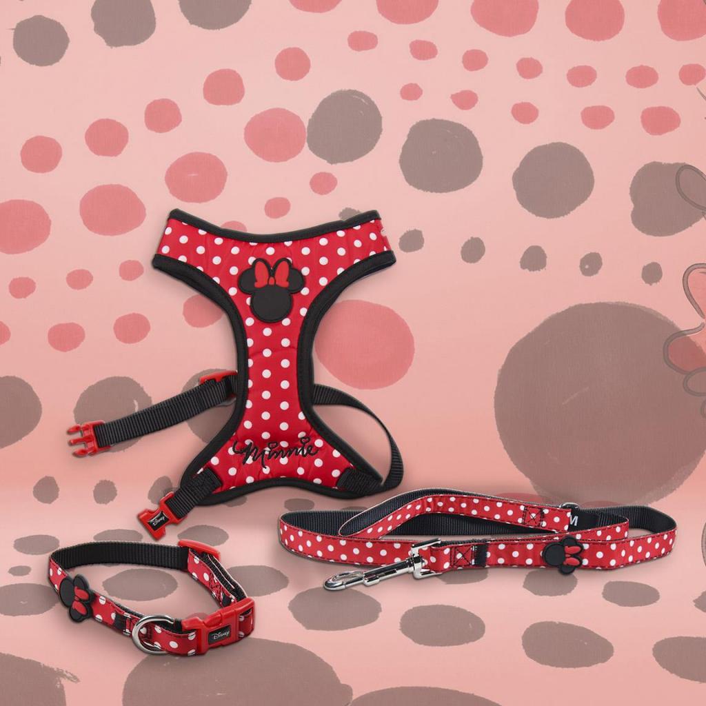 MINNIE - Dog Leash - M (Length 120cm - 2cm)