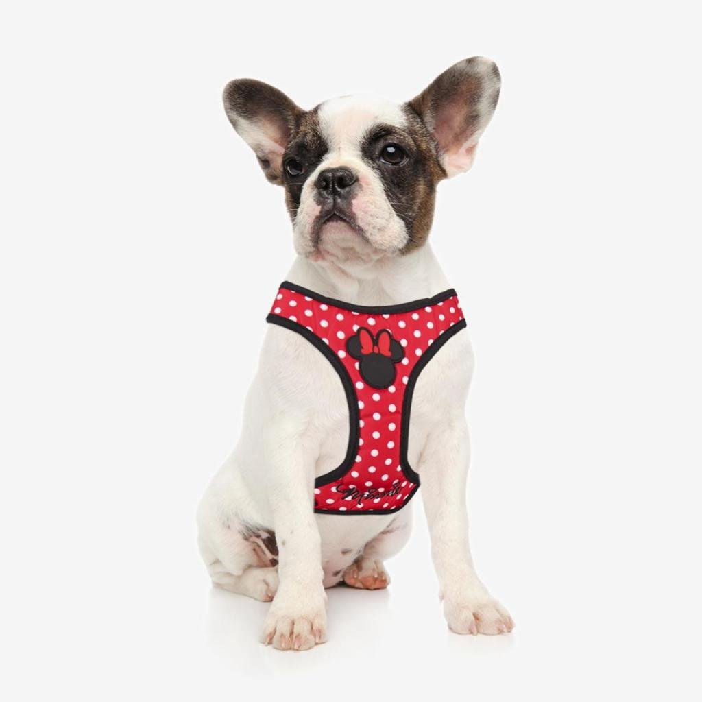 MINNIE - Dog Harness - XXS/XS