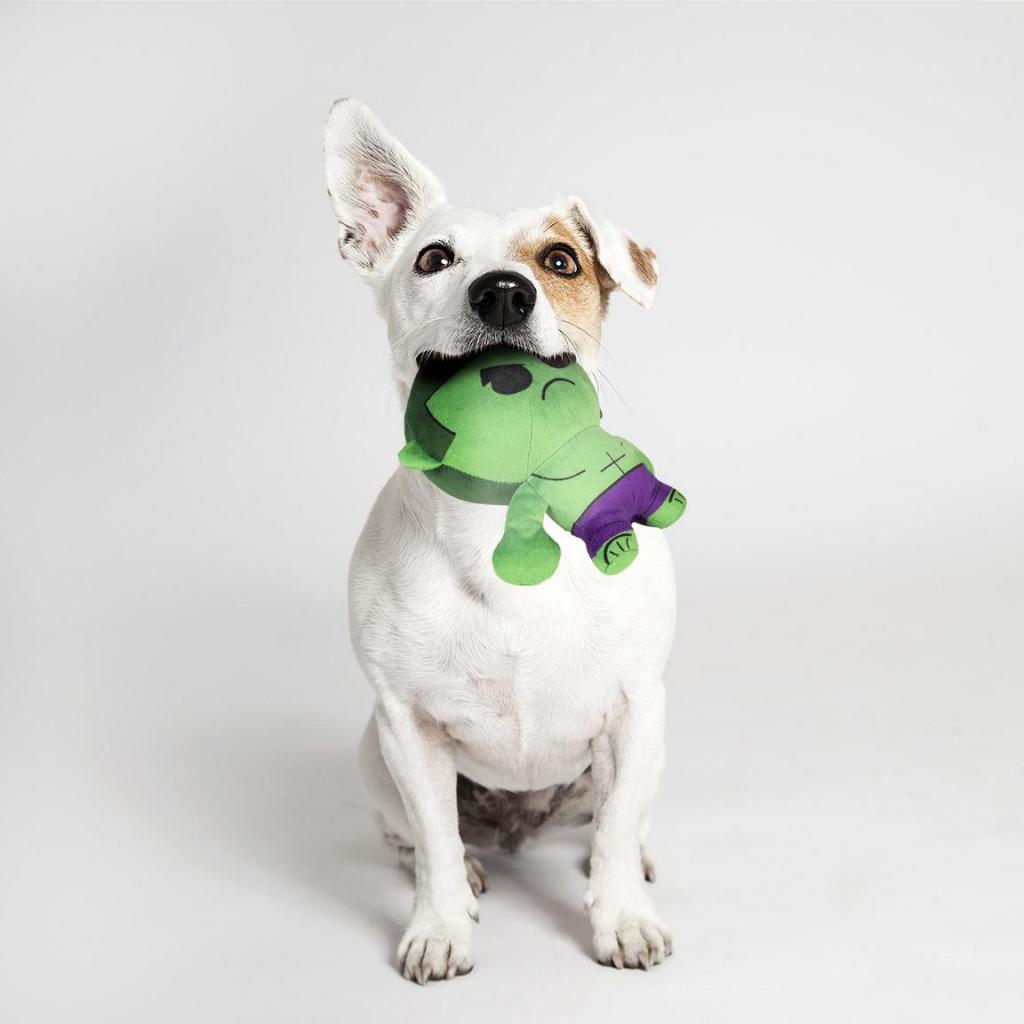 MARVEL - Hulk - Stuffed Dog Toy