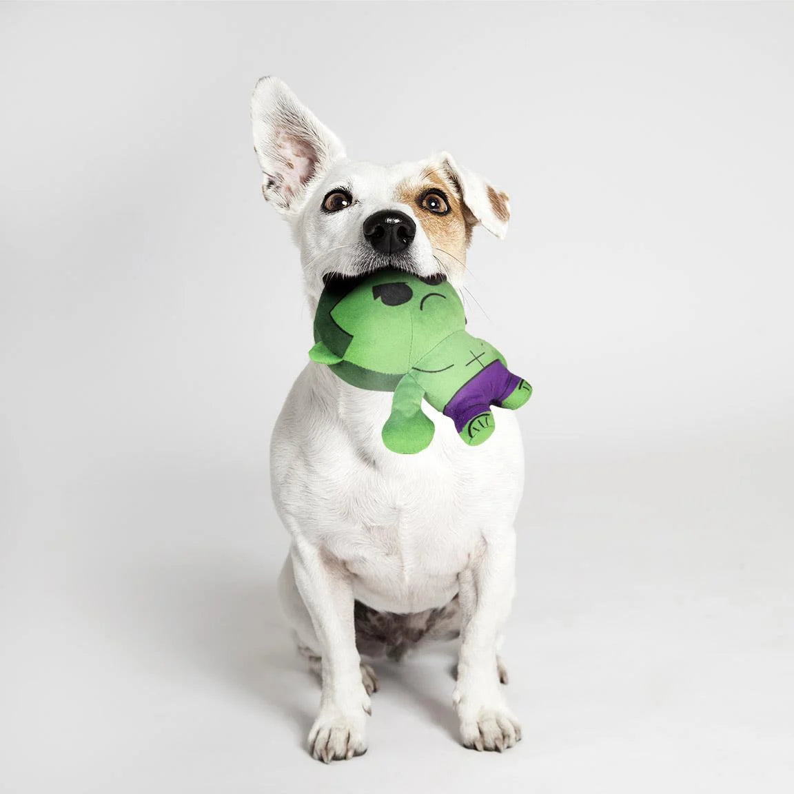 MARVEL - Hulk - Stuffed Dog Toy