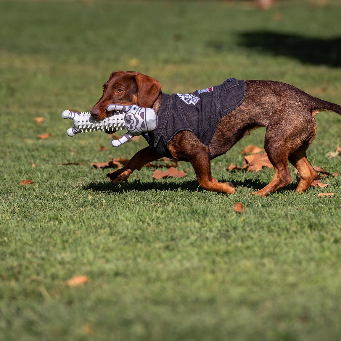 STAR WARS - Dog Denim Jacket - S