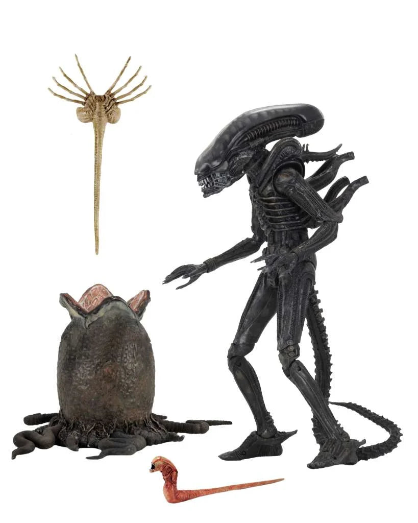 ALIEN - Big Chap 40th Anniversary - Ultimate Figure 22cm