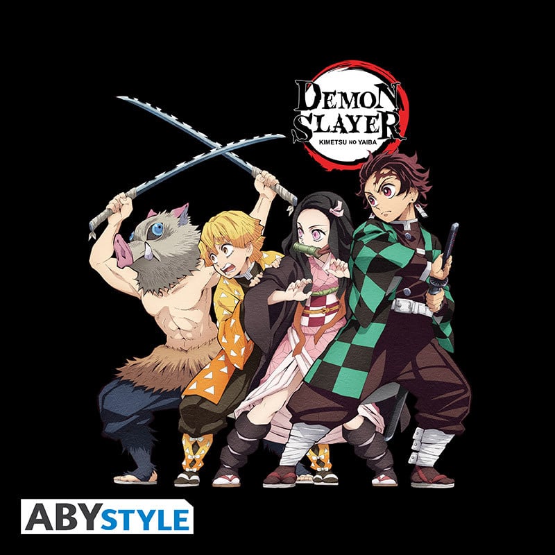 DEMON SLAYER - T-Shirt Group Unisex black (L)