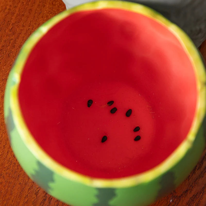 MY NEIGHBOR TOTORO - Totoro Watermelon -Planter Frame 16.5x13.5x18.5cm