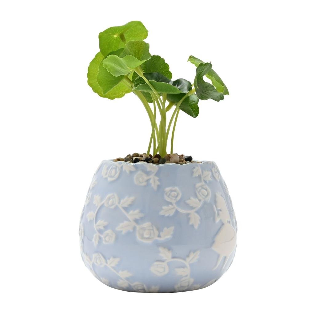 ALICE IN WONDERLAND - Duo - 2 Mini Planters with Faux Plants