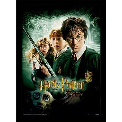 HARRY POTTER - Chamber of Secrets - Collector Print 30x40cm