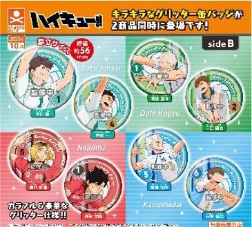 GASHAPON - HAIKYUU Tin Badge Side B (40 Capsule 65mm)