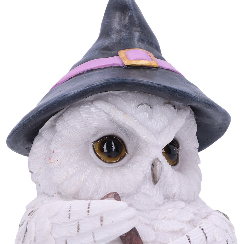 FANTAISY - Owl Potion - Statue 17cm