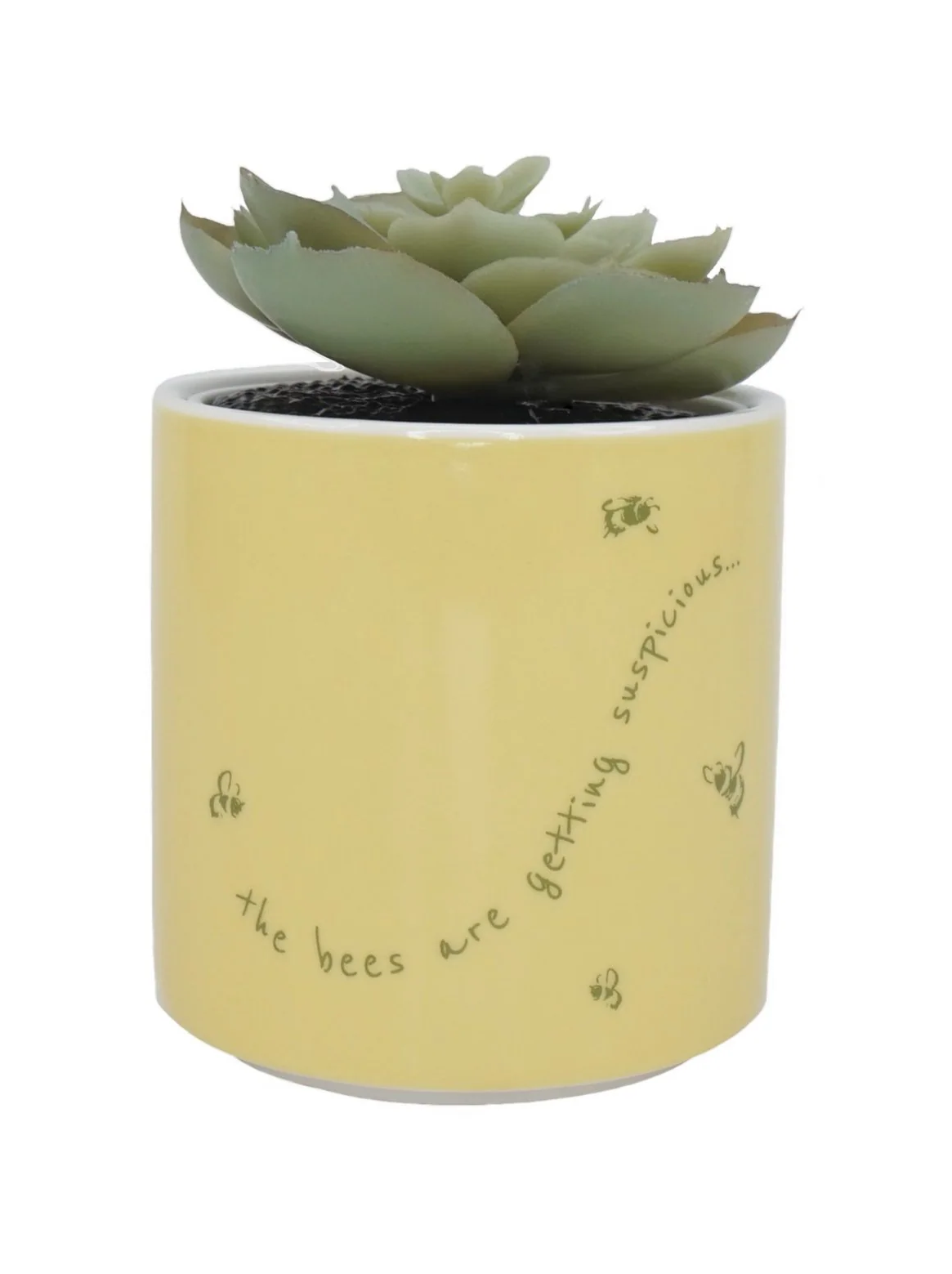 DISNEY - Winnie The Pooh - Faux Plant Pot 6.5cm