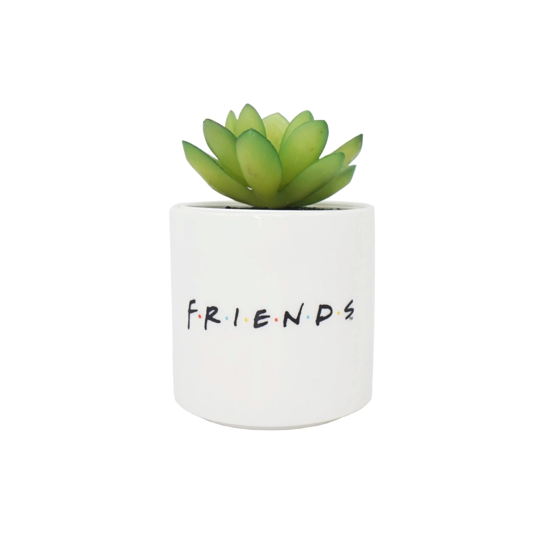 FRIENDS - Central Perk - Faux Plant Pot 6.5cm