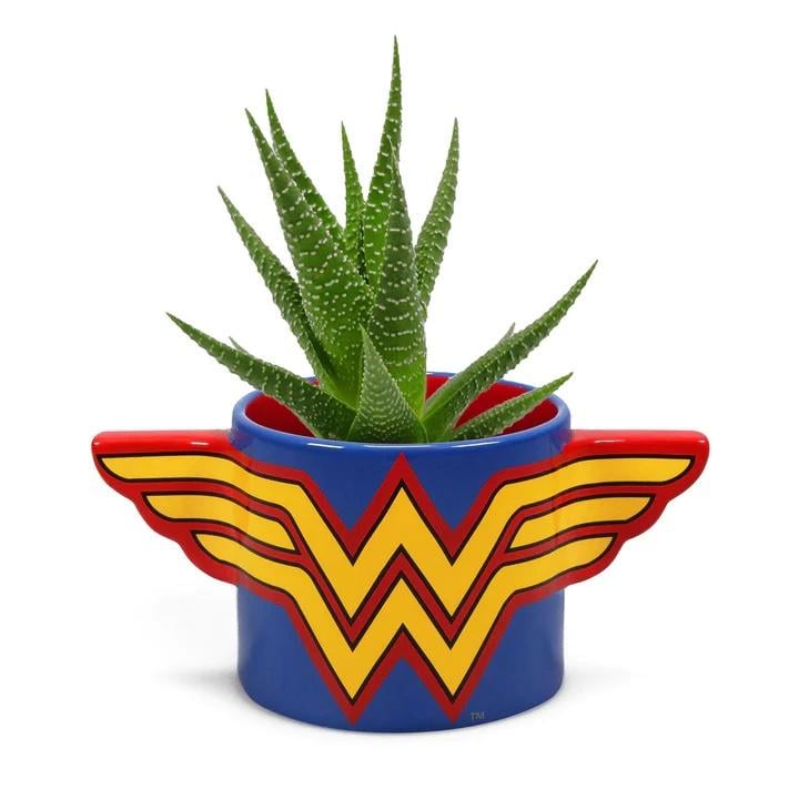 DC COMICS - Wonder Woman - Plant Pot