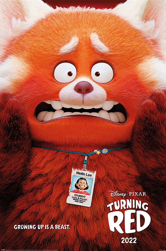 TURNING RED - Red Panda Mei - Poster 61x91cm