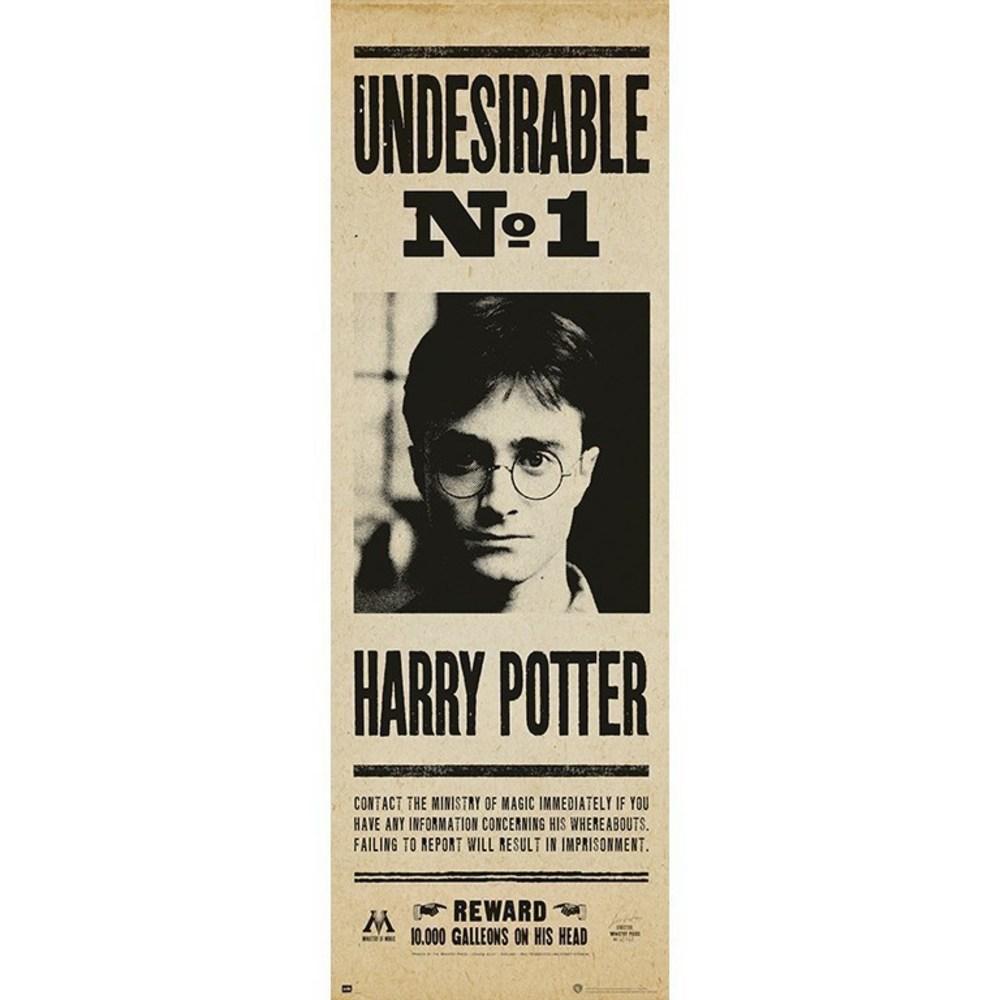 HARRY POTTER - Undesirable N°1- Door Poster 53x158