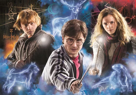HARRY POTTER - Harry, Ron & Hermione - Puzzle 500P