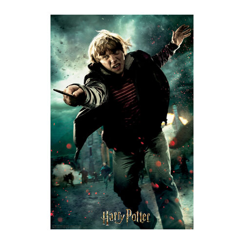HARRY POTTER - Ron - Lenticular Puzzle 3D 300P '46x31cm'