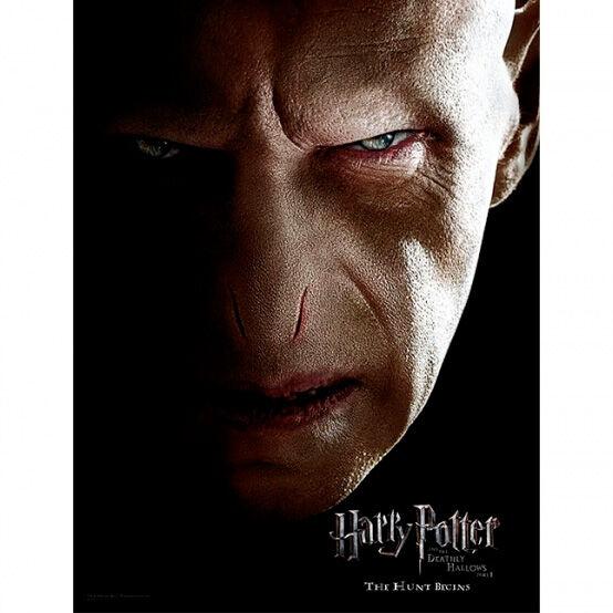 HARRY POTTER - GLASS PRINT - Voldemort Face - 30X40 Cm