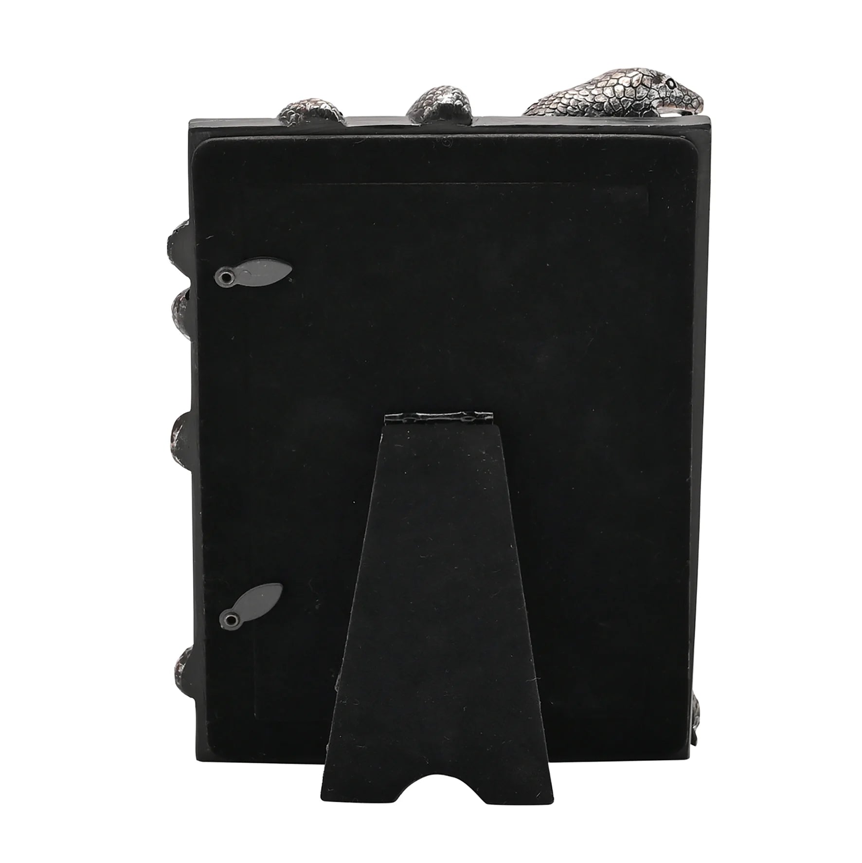 HARRY POTTER - Nagini - 3D Photo Frame