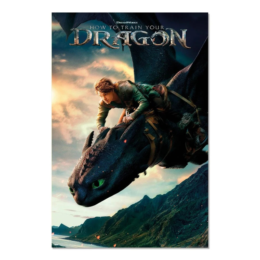 HOW TO TRAIN A DRAGON LIVE ACTION - Poster 61 x 91cm