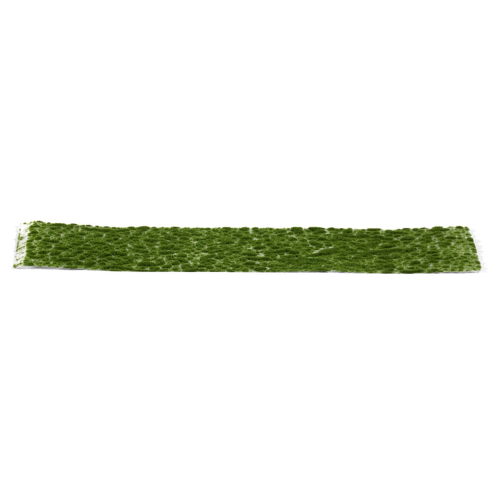 Realistic dark green moss