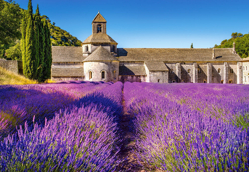 Lavender Field in Provence,France,Puzzle 1000 Teile