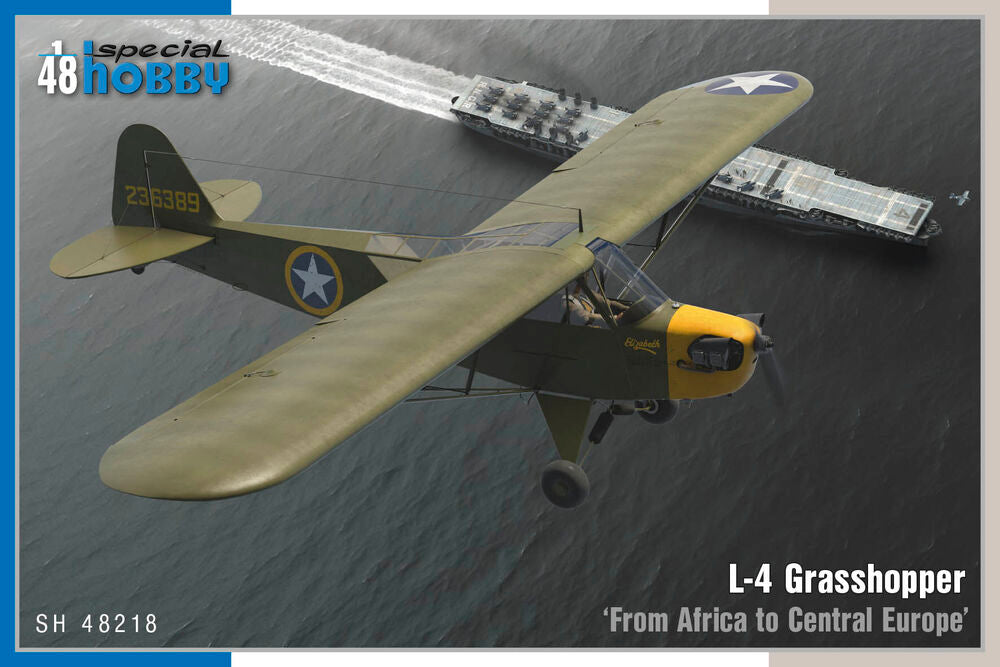 L-4 Grasshopper From Africa to Central Europe