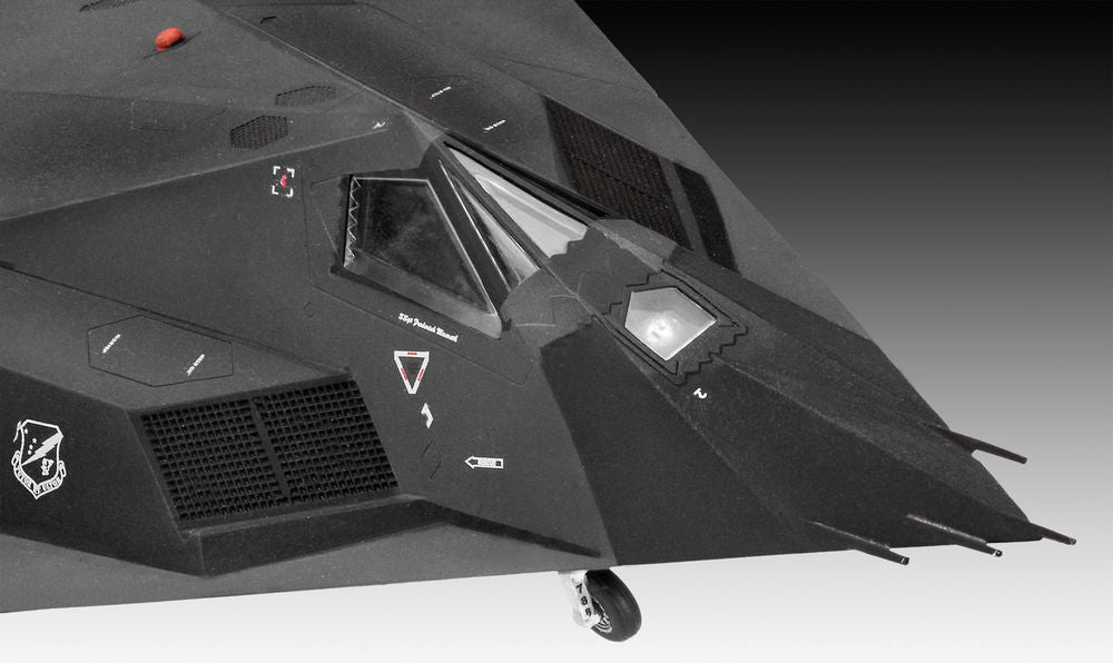 F-117A Nighthawk Stealth Fighter