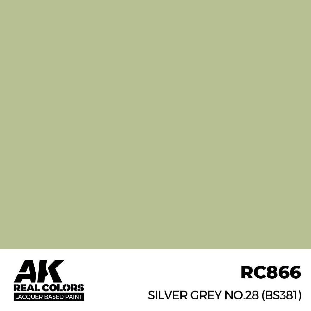 Silver Grey No.28 (BS381) 17 ml.