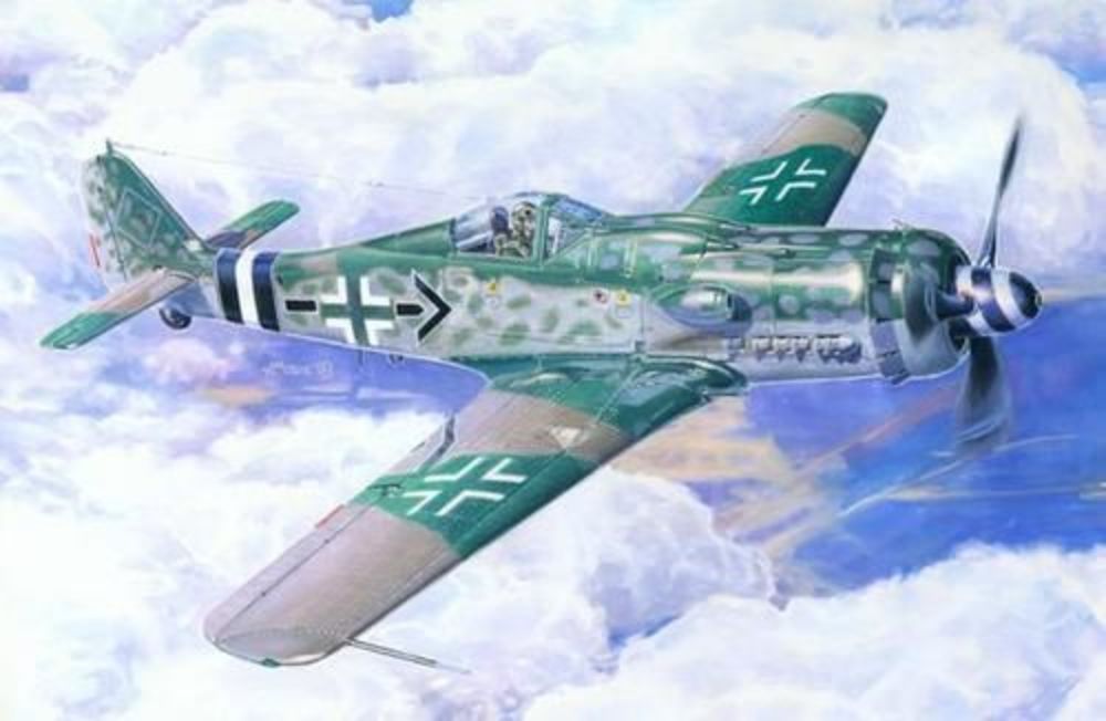 Fw-190D-9 Michaelski