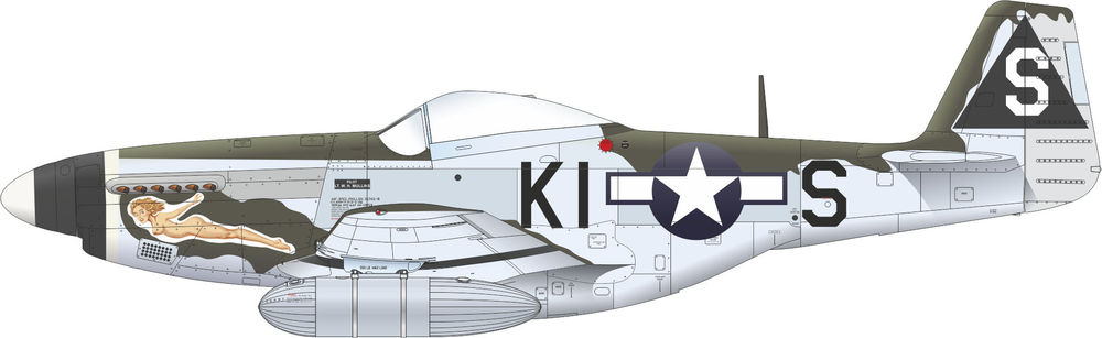 P-51D-5 Mustang 1/48