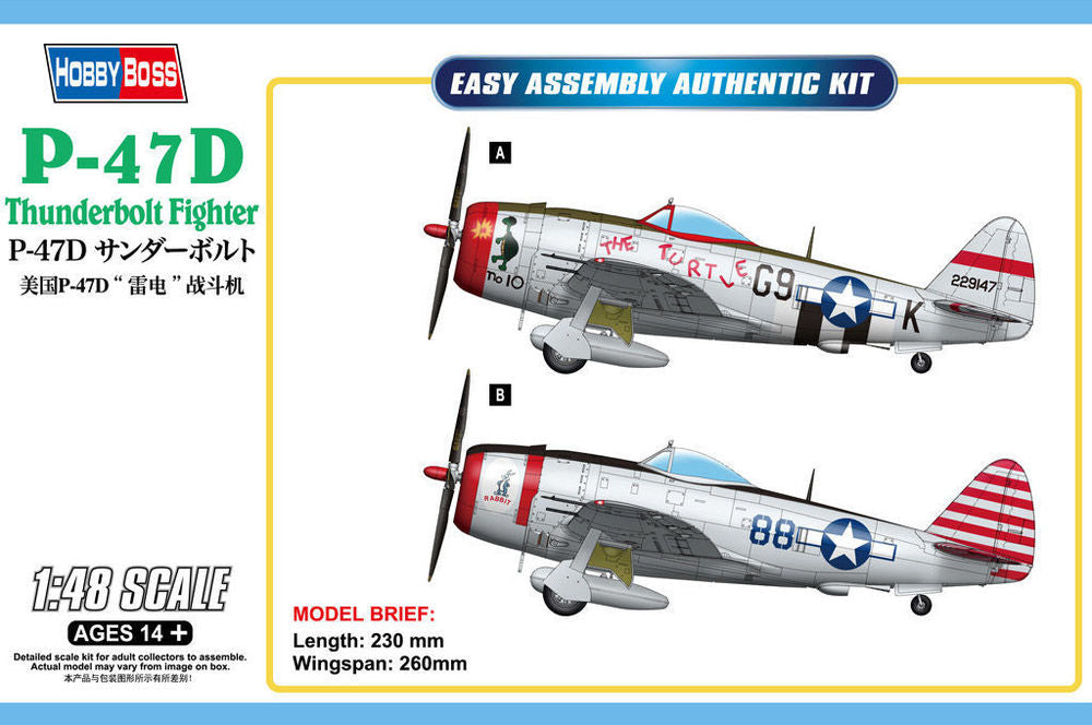 P-47D Thunderbolt Fighter