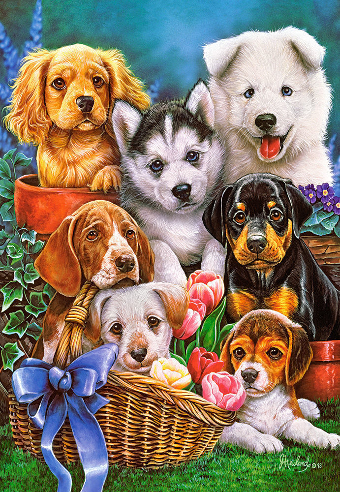 Puppies, Puzzle 1000 Teile