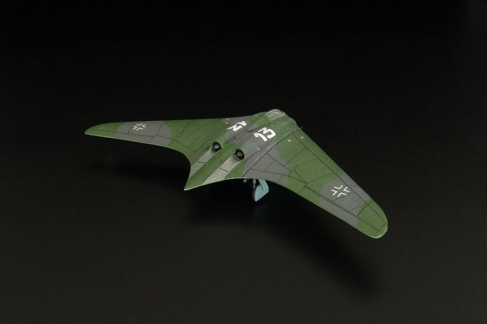 Horten Ho-229A