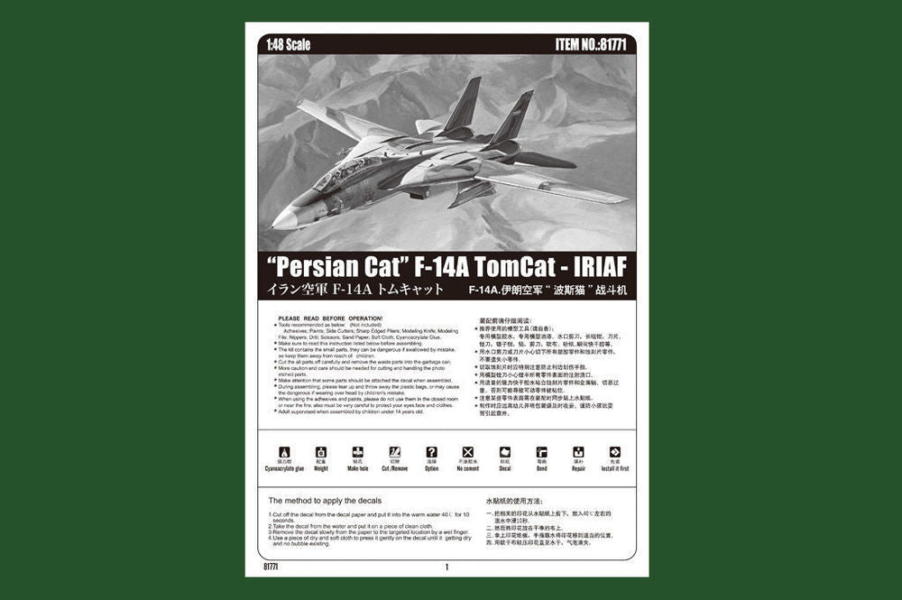 Persian Cat F-14A TomCat-IRIAF