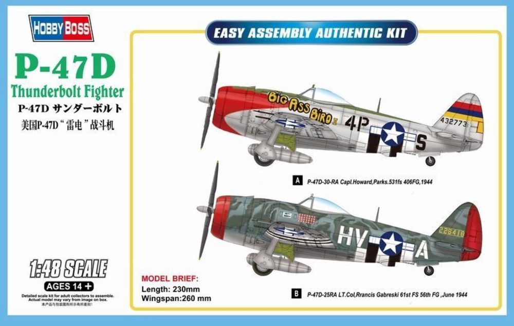 P-47D Thunderbolt Fighter