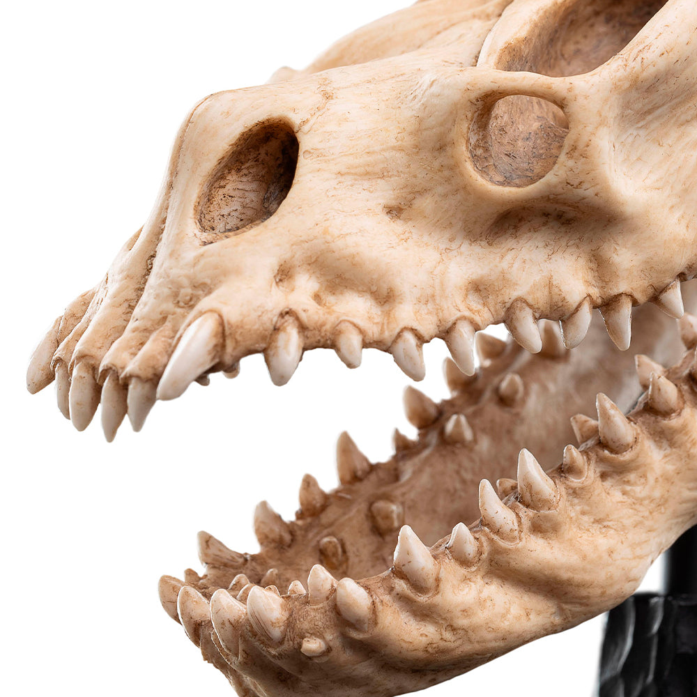 Weta Workshop Lord of the Rings - Skull of a Fell Beast Minuature