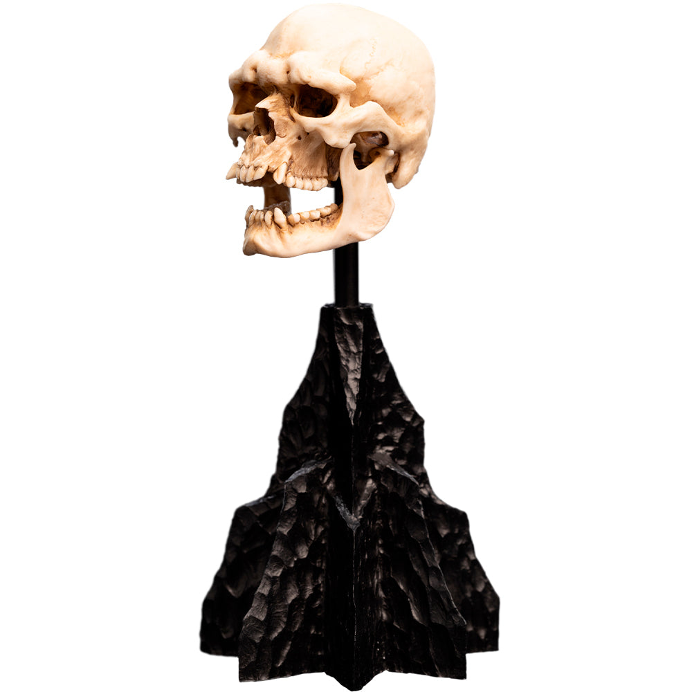 Weta Workshop The Lord of the Rings - Miniature Skull of a Mordor Orc