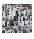 The Rolling Stones Rock Saws Jigsaw Puzzle  Exile On Main St. (500 pieces)