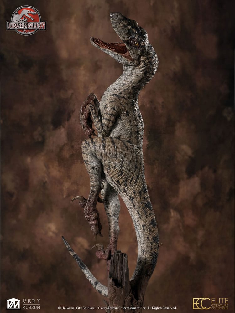 Jurassic Park III Maquette 1/4 Female Velociraptor White Queen 103 cm