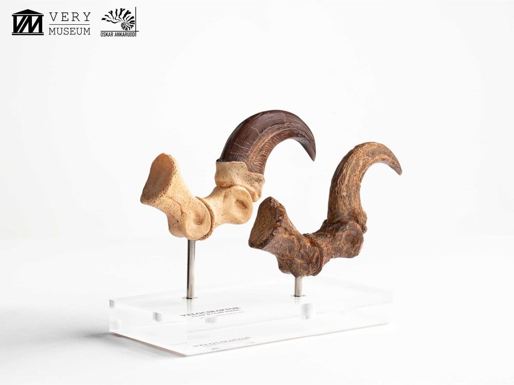 Jurassic Park ECC Elite Creature Line Statue Velociraptor Foot Claw and Fossil Claw Set 20 cm