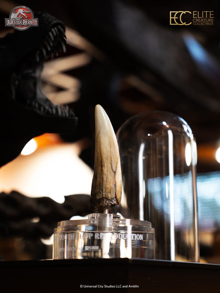 Jurassic Park III Prop Replica 1/1 Spinosaurus Tooth 14 cm