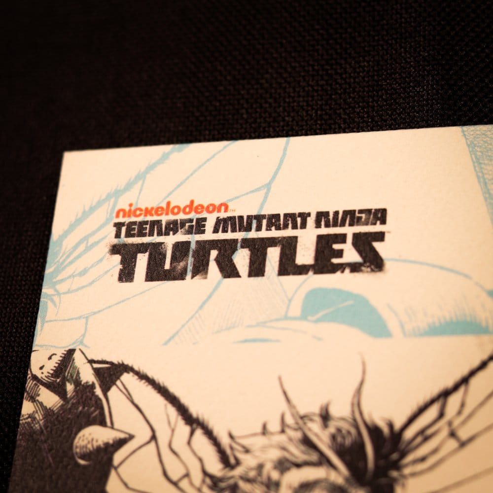 Teenage Mutant Ninja Turtles Art Print Comic Limited Edition 42 x 30 cm