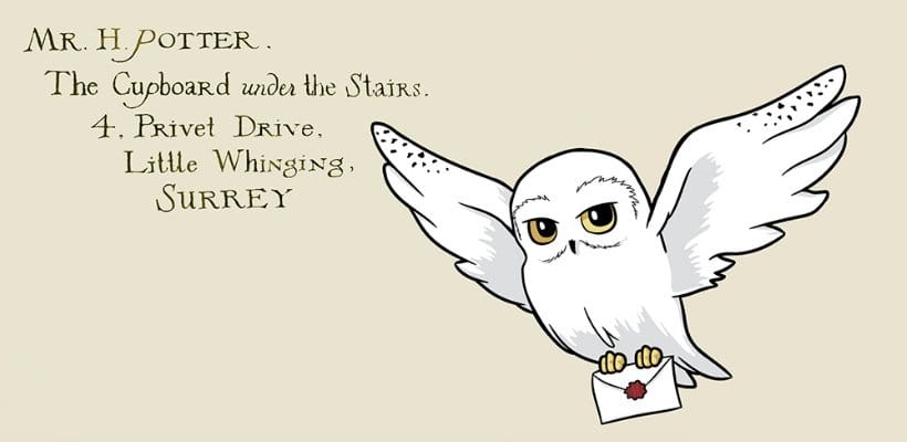 Harry Potter Premium Mug Hedwig 444 ml