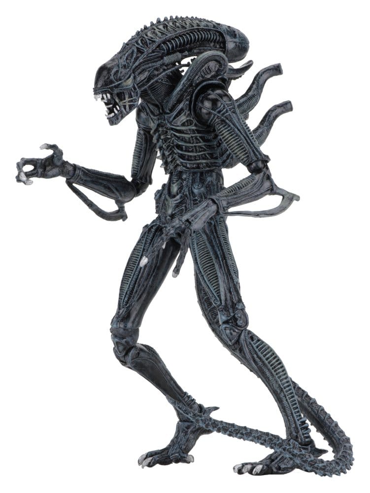Aliens Ultimate Action Figure Warrior (1986) Blue 23 cm