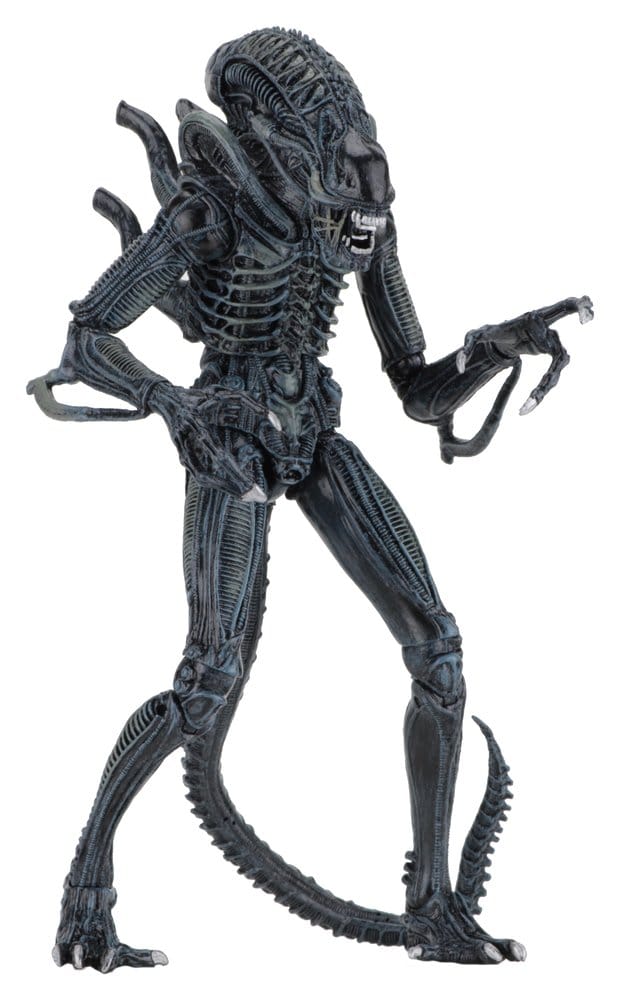 Aliens Ultimate Action Figure Warrior (1986) Blue 23 cm