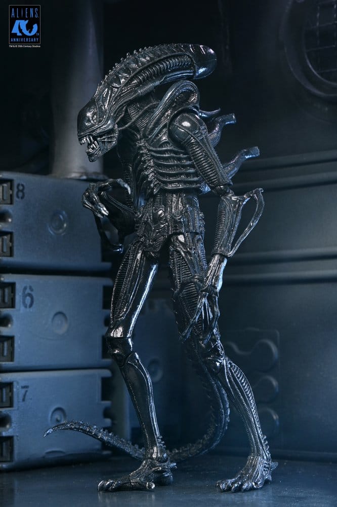 Aliens Ultimate Action Figure Warrior (1986) Xenomorph Black (40th Anniversary) 23 cm