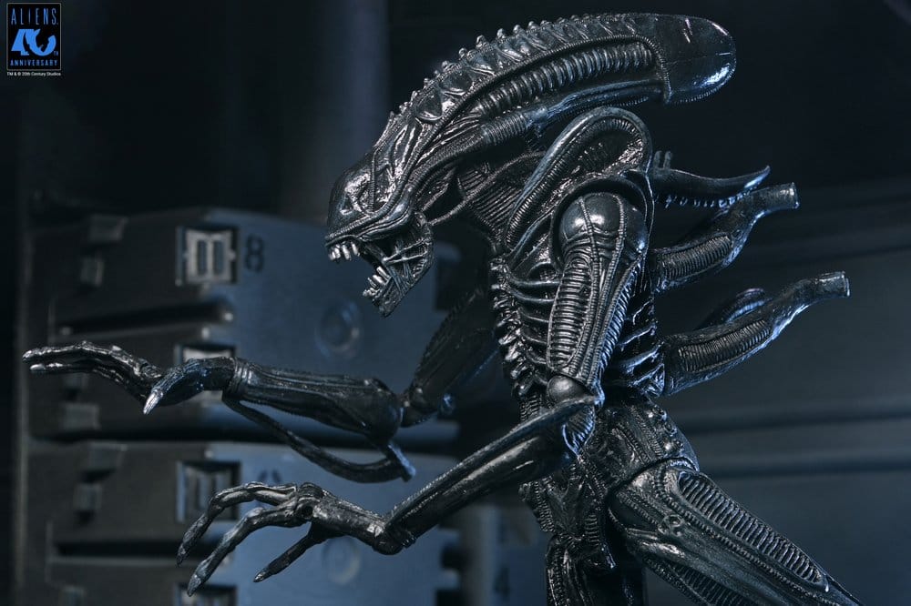 Aliens Ultimate Action Figure Warrior (1986) Xenomorph Black (40th Anniversary) 23 cm
