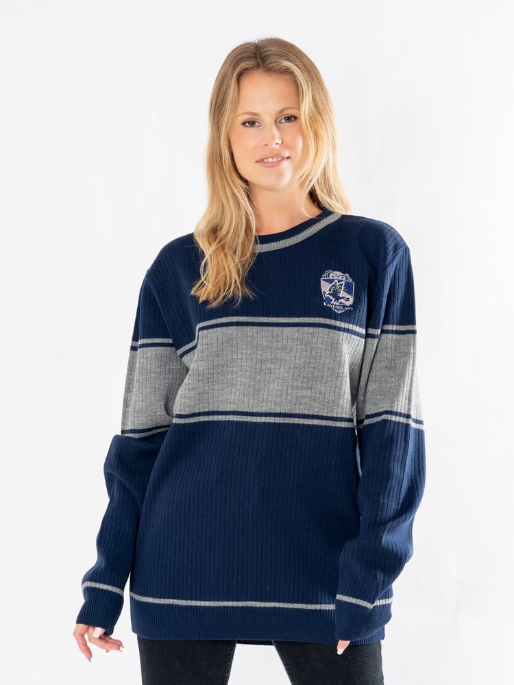 Harry Potter Sweater Ravenclaw Size S