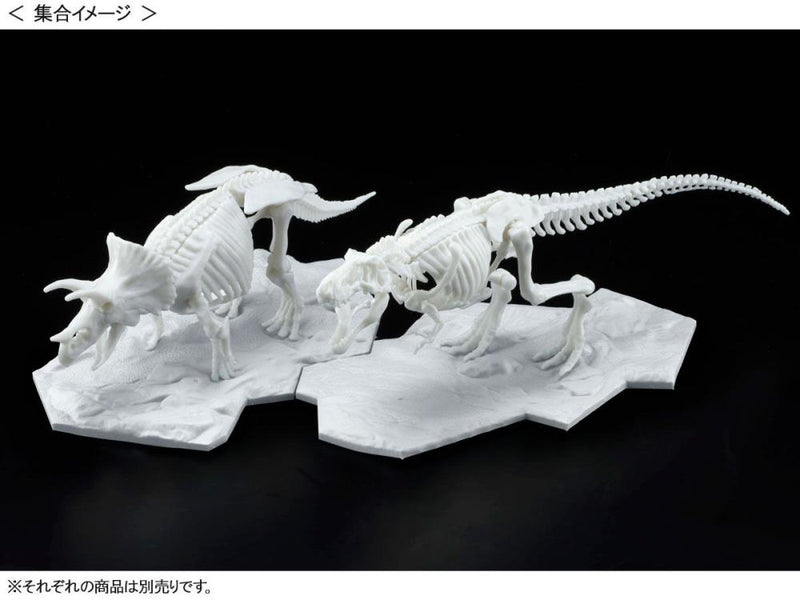 Limex - Dinosaur Skeleton Tyrannosaurus Rex